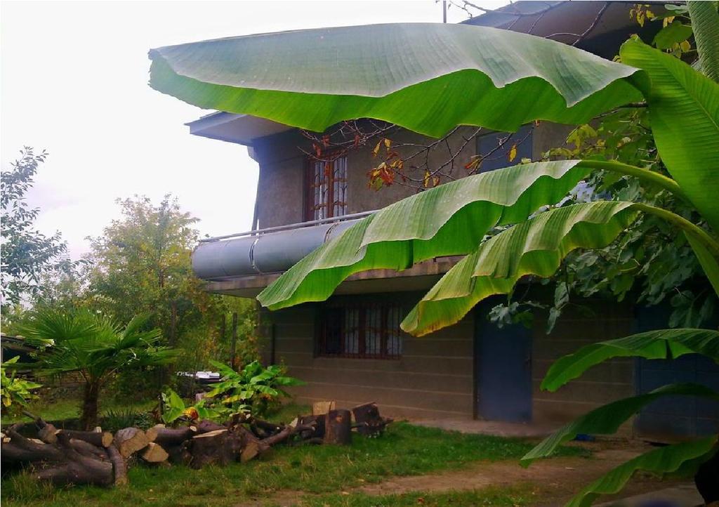 Farmer'S Guest House เทลาวี ภายนอก รูปภาพ