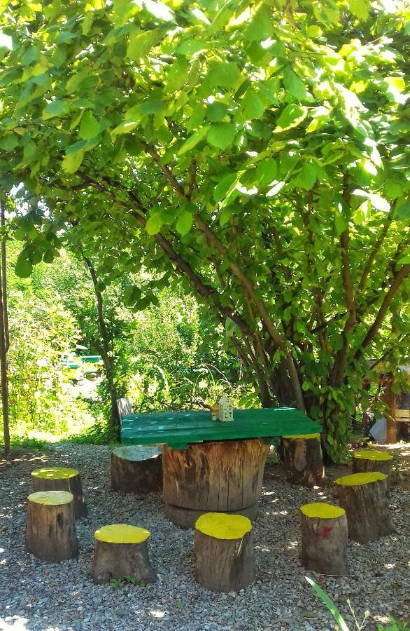 Farmer'S Guest House เทลาวี ภายนอก รูปภาพ
